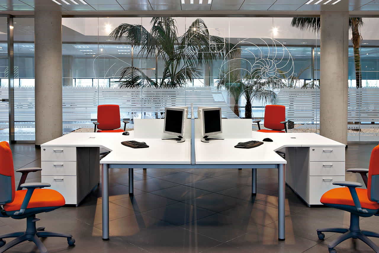 Marcador de posición