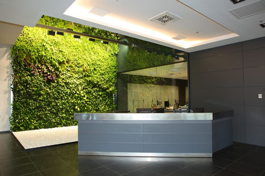 Marcador de posición