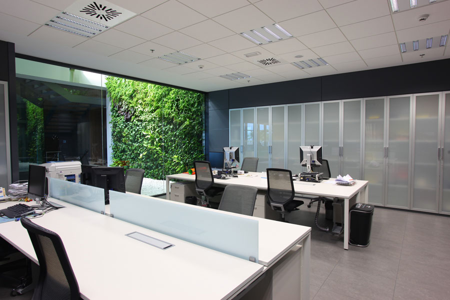 Marcador de posición